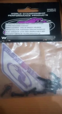 Serpent Motorsport #1238 Ifmar World Champions