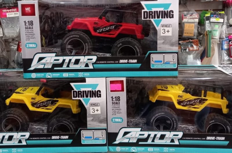 CAR CLIMBIN RALLY carro a control remoto con batería recargable luz y sonido escala 1 a 18